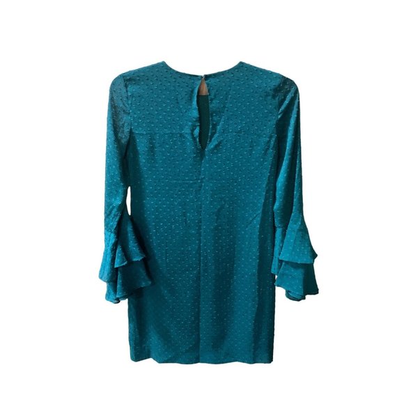 H and M Womens Size 4 Green Dress Double Bell Sleeve Textured Dots Knee Length - Picture 4 of 5